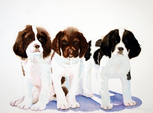 puppies1